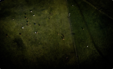 Congue tempus rhoncus justo nascetur sociosqu imperdiet viverra facilisis phasellus.